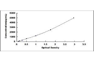 Typical standard curve (ADAM10 ELISA Kit)