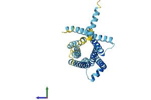 AlphaFold protein structure predicition of Mouse Recombinant Tas2r113 Protein, UniprotID Q7M711 (TAS2R113 Protein (AA 1-309) (His tag))