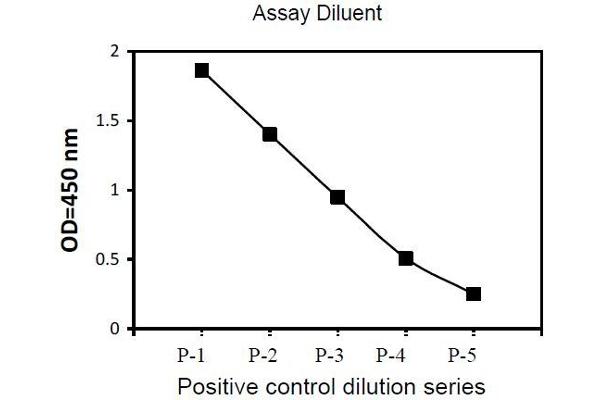 EPH Receptor B2 ELISA Kit