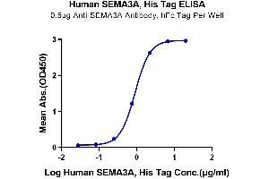 ELISA image for Sema Domain, Immunoglobulin Domain (Ig), Short Basic Domain, Secreted, (Semaphorin) 3A (SEMA3A) (AA 21-771) protein (His tag) (ABIN7275562)