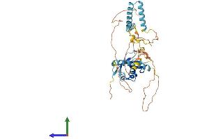 AlphaFold protein structure predicition of Human Recombinant HERPUD2 Protein, UniprotID Q9BSE4