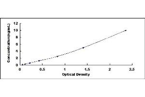 Typical standard curve (AKT1 ELISA Kit)