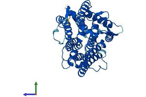 AlphaFold protein structure predicition of Mouse Recombinant Tm7sf2 Protein, UniprotID Q71KT5 (TM7SF2 Protein (AA 1-418) (His tag))