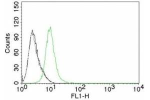 Flow cytometry testing of Jurkat cells. (CDKN1B antibody)