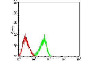 Flow cytometric analysis of HL-60 cells using CD3D mouse mAb (green) and negative control (red). (CD3D antibody  (AA 22-105))
