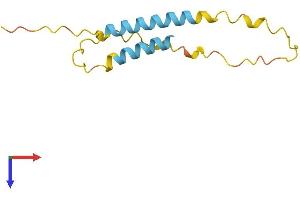 AlphaFold protein structure predicition of Human Recombinant LINC00596 Protein, UniprotID Q86U02 (C14orf165 Protein (AA 1-117) (His tag))