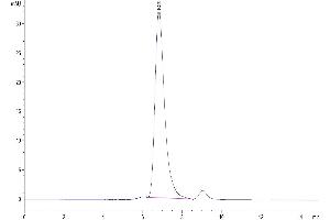 Size-exclusion chromatography-High Pressure Liquid Chromatography (SEC-HPLC) image for HLA Class I Histocompatibility Antigen, alpha Chain G (HLAG) (Tetramer) protein (HLA-G) (ABIN7274817)