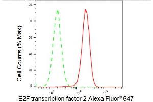 Flow cytometric analysis of E2F transcription factor 2 expression in HAP-1 cells using E2F transcription factor 2 antibody (ABIN7798414), 1:2,000). (Recombinant E2F2 antibody)