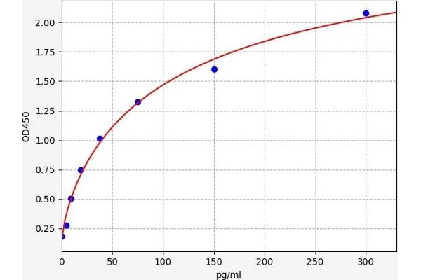 NMT1 ELISA Kit