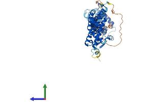 AlphaFold protein structure predicition of Mouse Recombinant Cdk5rap3 Protein, UniprotID Q99LM2