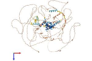 NUT (AA 1-1132) protein (His tag)