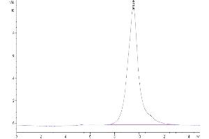 Size-exclusion chromatography-High Pressure Liquid Chromatography (SEC-HPLC) image for Tumor Necrosis Factor Receptor Superfamily, Member 9 (TNFRSF9) (AA 24-186) protein (His-Avi Tag,Biotin) (ABIN7273923)