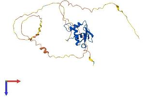 SPI1 Protein (AA 1-270) (His tag)