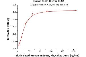 Immobilized Human PLGF, His Tag (ABIN2181648,ABIN2181647) at 1 μg/mL (100 μL/well) can bind Biotinylated Human VEGF R1, His,Avitag (ABIN5955009,ABIN6253629) with a linear range of 2-20 ng/mL (Routinely tested). (PLGF Protein (AA 19-170) (His tag))