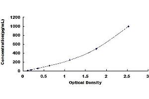 Typical standard curve (FASL ELISA Kit)