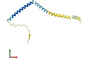 Protein Structure (PS) image for Tumor Protein D52-Like 3 (TPD52L3) (AA 1-140) protein (His tag) (ABIN7544706)