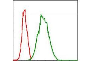 Flow cytometric analysis of Jurkat cells using G6PD mouse mAb (green) and negative control (red). (Glucose-6-Phosphate Dehydrogenase antibody)