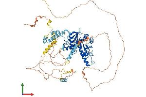 AlphaFold protein structure predicition of Human Recombinant ADD1 Protein, UniprotID P35611