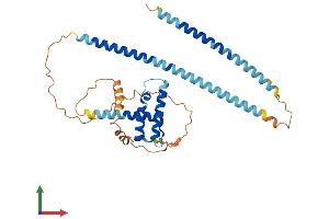 AlphaFold protein structure predicition of Mouse Recombinant Msantd4 Protein, UniprotID Q91YU3 (MSANTD4 Protein (AA 1-345) (His tag))