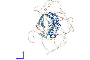 AlphaFold protein structure predicition of Human Recombinant KANK2 Protein, UniprotID Q63ZY3 (KANK2 Protein (AA 1-851) (His tag))