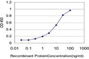 Detection limit for recombinant GST tagged HOXA5 is approximately 0. (HOXA5 antibody  (AA 171-270))