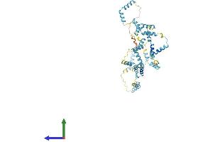 AlphaFold protein structure predicition of Mouse Recombinant Nebl Protein, UniprotID Q0II04 (Nebulette Protein (NEBL) (AA 1-452) (His tag))