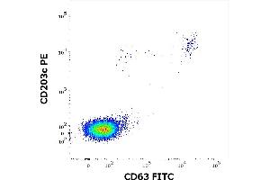 Flow cytometry dot-plot staining pattern of rBet v 1 recombinant allergen stimulated human peripheral whole blood lymphocytes and basophils of a proven allergic donor stained using anti-human CD63 (MEM-259) FITC and anti-human CD203c (NP4D6) PE antibodies . (PFN1 Protein)