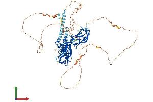AlphaFold protein structure predicition of Human Recombinant RPH3A Protein, UniprotID Q9Y2J0