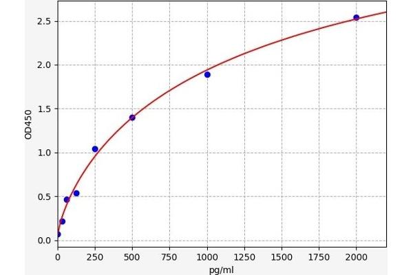 CLEC7A ELISA Kit