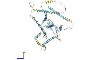 Protein Structure (PS) image for Nexilin (NEXN) (AA 1-675) protein (His tag) (ABIN7549679)