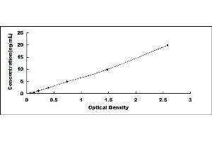 Typical standard curve (DDT ELISA Kit)