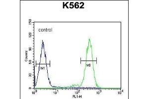 RTP4 Antibody (C-term) (ABIN654495 and ABIN2844227) flow cytometric analysis of K562 cells (right histogram) compared to a negative control(left histogram). (RTP4 antibody  (C-Term))