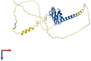 AlphaFold protein structure predicition of Human Recombinant HNRNPCL1 Protein, UniprotID O60812 (HNRNPCL1 Protein (AA 1-293) (His tag))