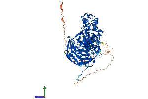 AlphaFold protein structure predicition of Human Recombinant KLHL13 Protein, UniprotID Q9P2N7 (KLHL13 Protein (AA 1-655) (His tag))