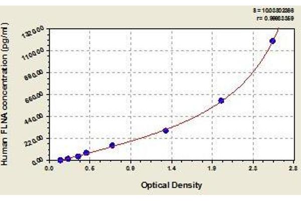 Filamin A ELISA Kit