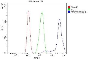 Flow Cytometry analysis of CACO-2 cells using anti-PRDM5 antibody (ABIN7600853).