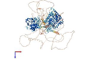 AlphaFold protein structure predicition of Human Recombinant PPIP5K1 Protein, UniprotID Q6PFW1 (HISPPD2A Protein (AA 1-1433) (His tag))
