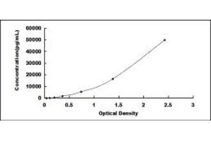 APOA4 ELISA Kit