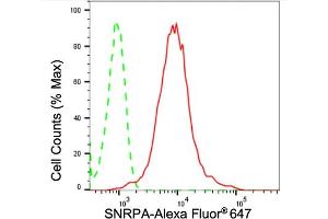 Flow cytometric analysis of SNRPA expression in HepG2 cells using SNRPA antibody (ABIN7800378), 1:2,000).