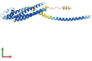 AlphaFold protein structure predicition of Human Recombinant STX1A Protein, UniprotID Q16623 (STX1A Protein (AA 1-288) (His tag))