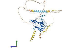 AlphaFold protein structure predicition of Human Recombinant SNIP1 Protein, UniprotID Q8TAD8