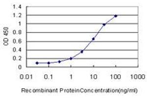Detection limit for recombinant GST tagged PRKG1 is approximately 0. (PRKG1 antibody  (AA 73-170))