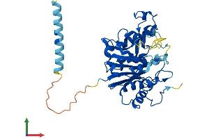 AlphaFold protein structure predicition of Human Recombinant GLT8D2 Protein, UniprotID Q9H1C3