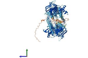 Protein Structure (PS) image for ATP-Binding Cassette, Sub-Family B (MDR/TAP), Member 1 (ABCB1) (AA 1-1280) protein (His tag) (ABIN7554517)