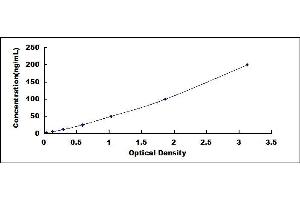 Typical standard curve (ATP5B ELISA Kit)