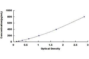 ELISA image for Lysozyme (LYZ) ELISA Kit (ABIN1029176)