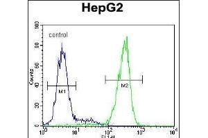 NUDT15 Antibody (C-term) (ABIN654983 and ABIN2844623) flow cytometric analysis of HepG2 cells (right histogram) compared to a negative control cell (left histogram). (NUDT15 antibody  (C-Term))