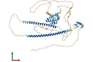 Protein Structure (PS) image for Runt-Related Transcription Factor 1, Translocated To, 1 (Cyclin D-Related) (RUNX1T1) (AA 1-604) protein (His tag) (ABIN7554629)