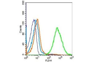 Mouse splenocytes probed with TLR9 Polyclonal Antibody, Unconjugated  at 1:100 for 30 minutes followed by incubation with a conjugated secondary (PE Conjugated) (green) for 30 minutes compared to control cells (blue), secondary only (light blue) and isotype control (orange). (TLR9 antibody  (AA 951-1032))