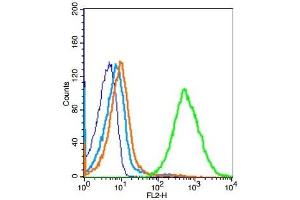 Mouse splenocytes probed with TLR9 Polyclonal Antibody, Unconjugated  at 1:100 for 30 minutes followed by incubation with a conjugated secondary (PE Conjugated) (green) for 30 minutes compared to control cells (blue), secondary only (light blue) and isotype control (orange). (TLR9 antibody  (AA 951-1032))